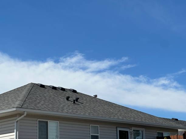 Best Chimney Flashing Repair  in Donora, PA